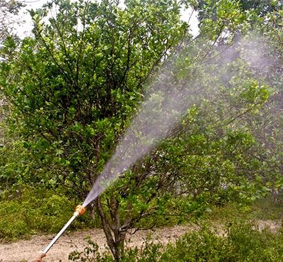 Asperoras de Aguilón para riego y fumigación