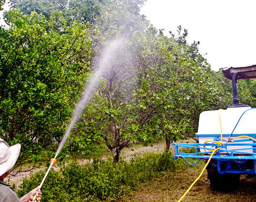 Aspersora de Pistolas de 3 puntos de tractor