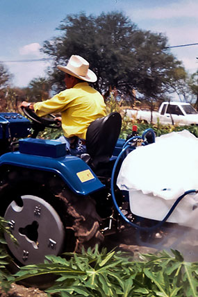 Aspersoras Motorizadas